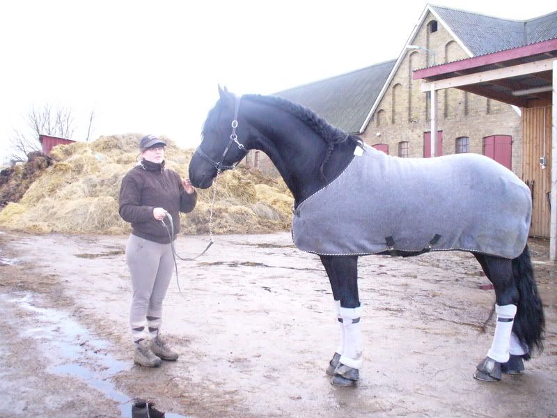 blandat031.jpg