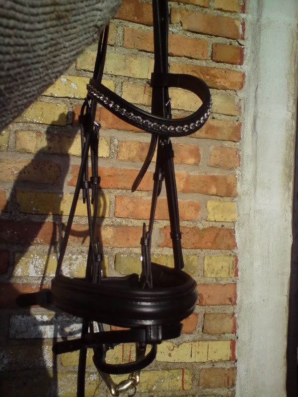 qwertyuio011.jpg