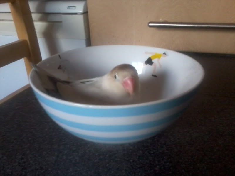 Photo0007.jpg