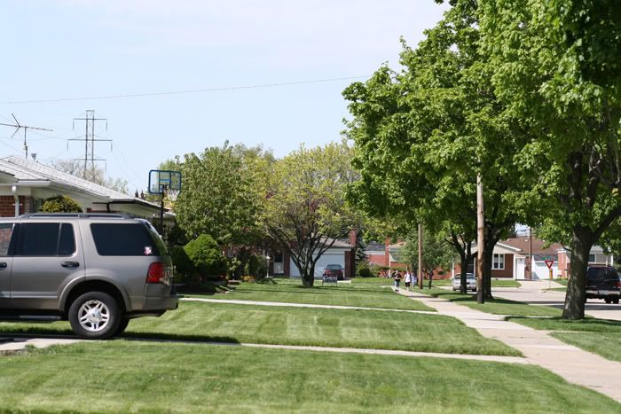 IMAGE: http://img.photobucket.com/albums/v340/marydoright/Learning%20Pictures/hoyawithnopol.jpg