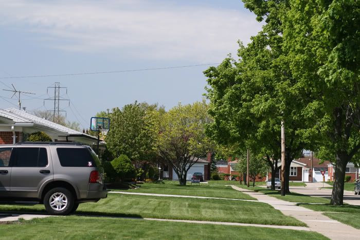 IMAGE: http://img.photobucket.com/albums/v340/marydoright/Learning%20Pictures/hoyawithpoldarkened.jpg