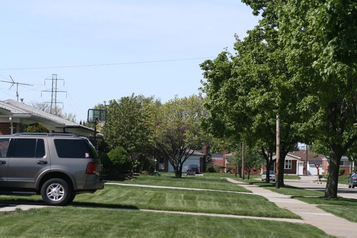 IMAGE: http://img.photobucket.com/albums/v340/marydoright/Learning%20Pictures/hoyawithpollight.jpg