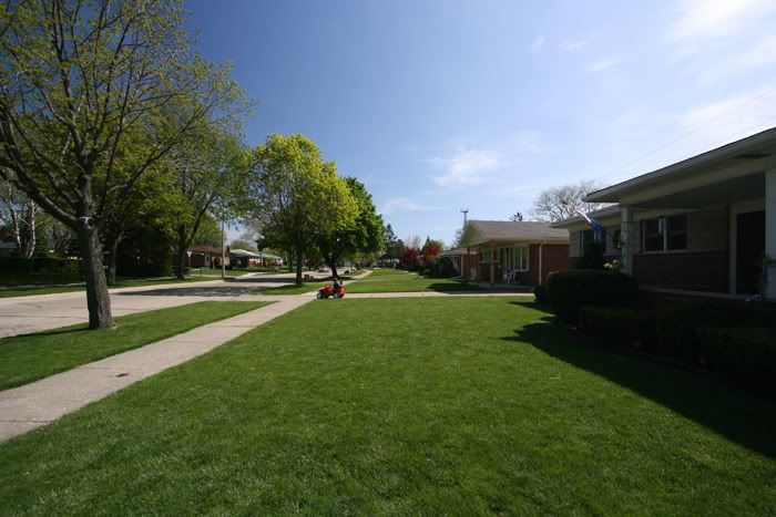 IMAGE: http://img.photobucket.com/albums/v340/marydoright/Learning%20Pictures/withpolarizer.jpg