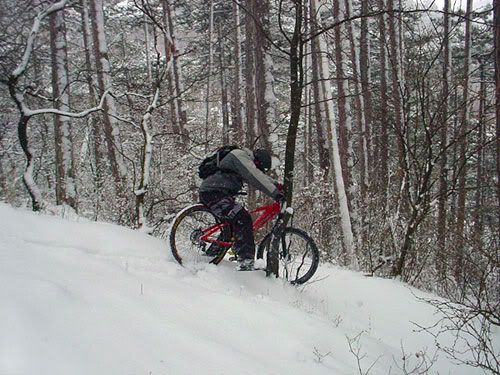 [Bild: p03.jpg]