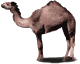 CamelSultanFlip.gif