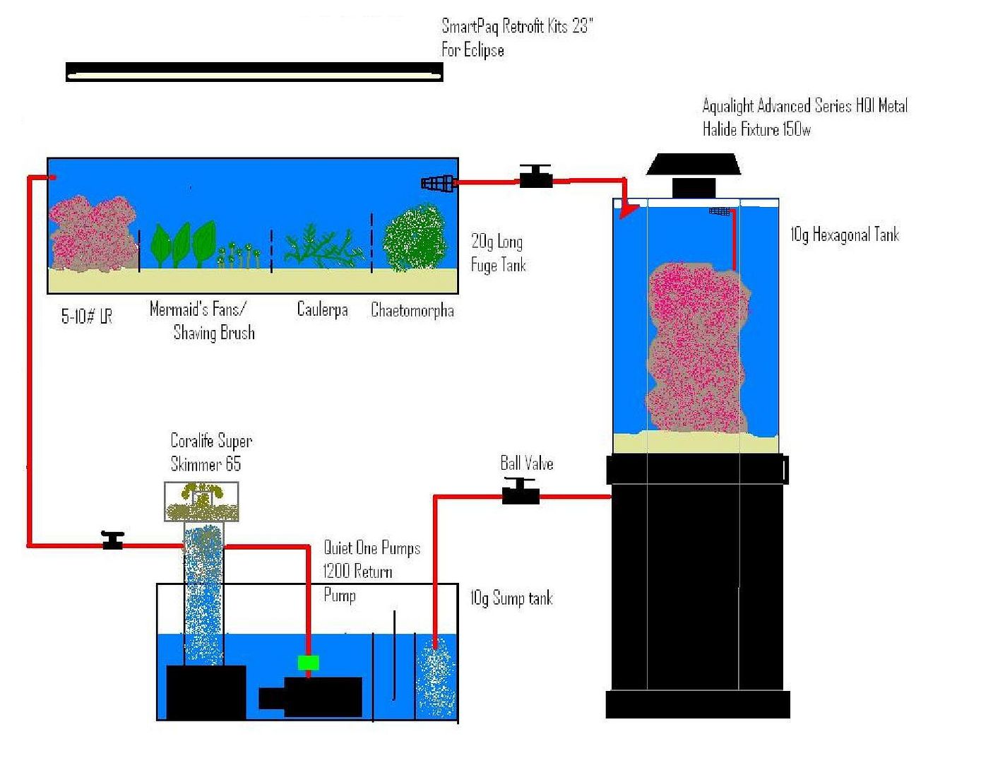 Diary Of A 10 Gallon Hexagon Tank  30gallon System - Reef Central 