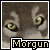 Morgun.the.Indian.lupess