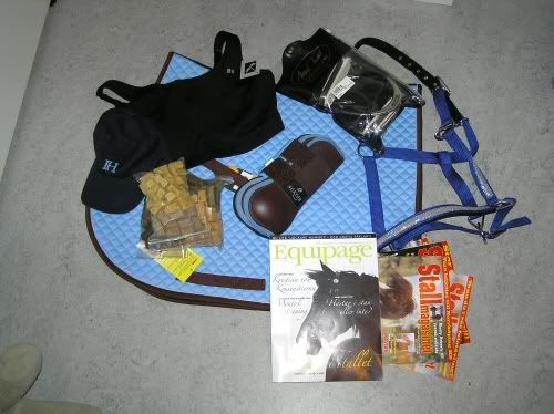 eurohorse06.jpg