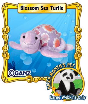 webkinz blossom sea turtle