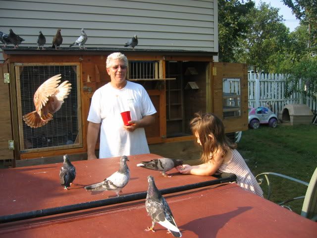 feeding pigeons02