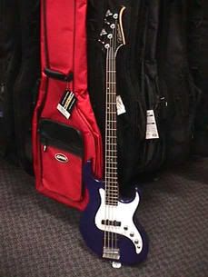 Guru's New Bass Guru's New Bass