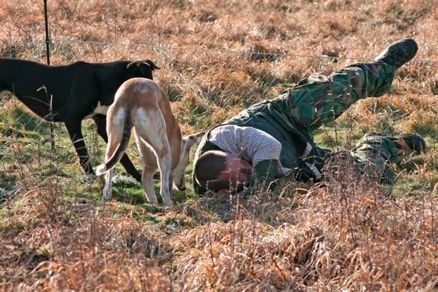 _MG_1309.jpg