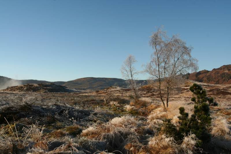 IMAGE: http://img.photobucket.com/albums/v344/weejoe/ByLochanReoidhte.jpg