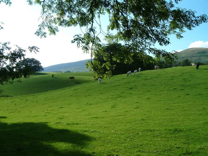 IMAGE: http://img.photobucket.com/albums/v344/weejoe/DSCF0015cloned.jpg