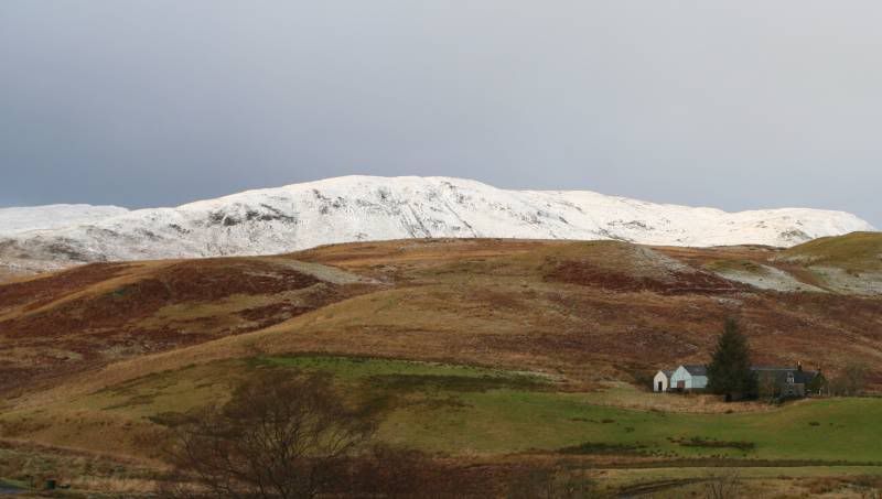 IMAGE: http://img.photobucket.com/albums/v344/weejoe/IMG_0664sml.jpg