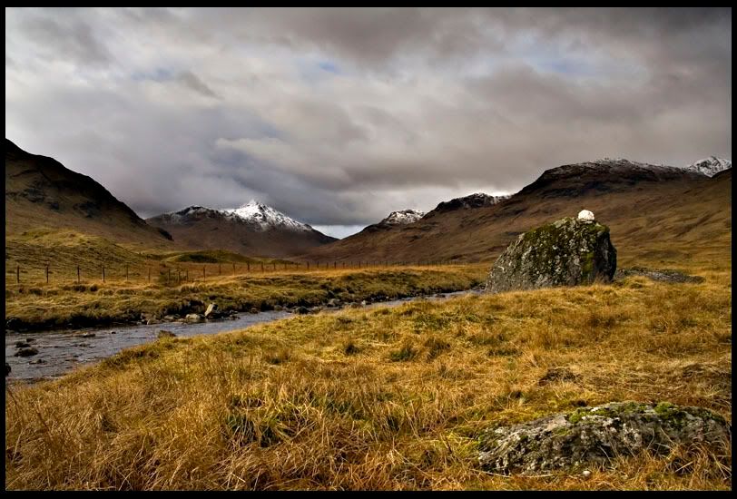 IMAGE: http://img.photobucket.com/albums/v344/weejoe/IMG_0946b.jpg