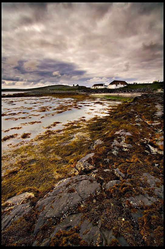 IMAGE: http://img.photobucket.com/albums/v344/weejoe/IMG_2879.jpg