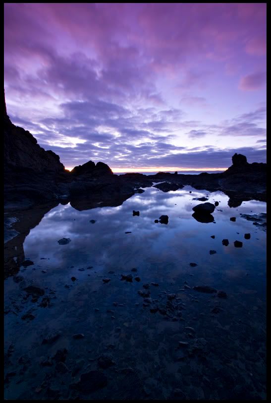 IMAGE: http://img.photobucket.com/albums/v344/weejoe/IMG_3986.jpg