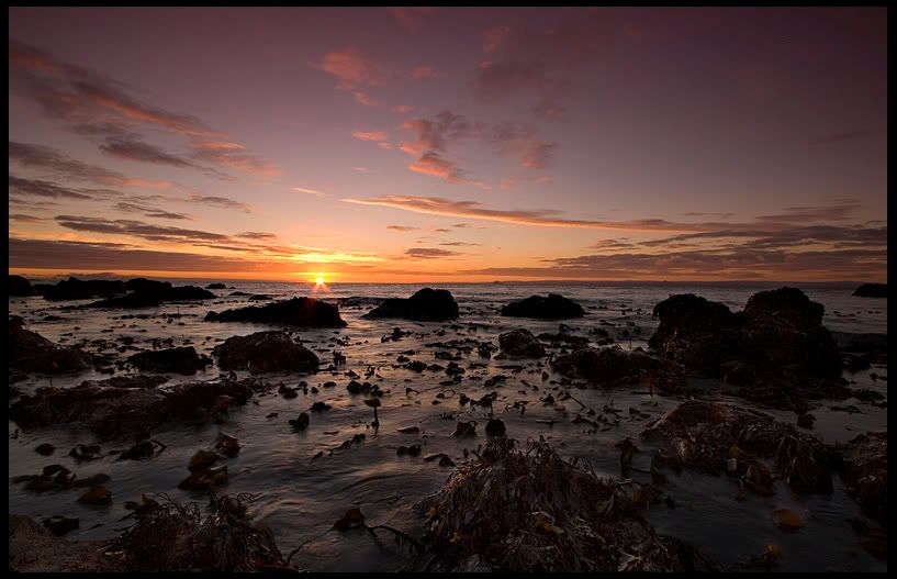 IMAGE: http://img.photobucket.com/albums/v344/weejoe/IMG_4004b.jpg