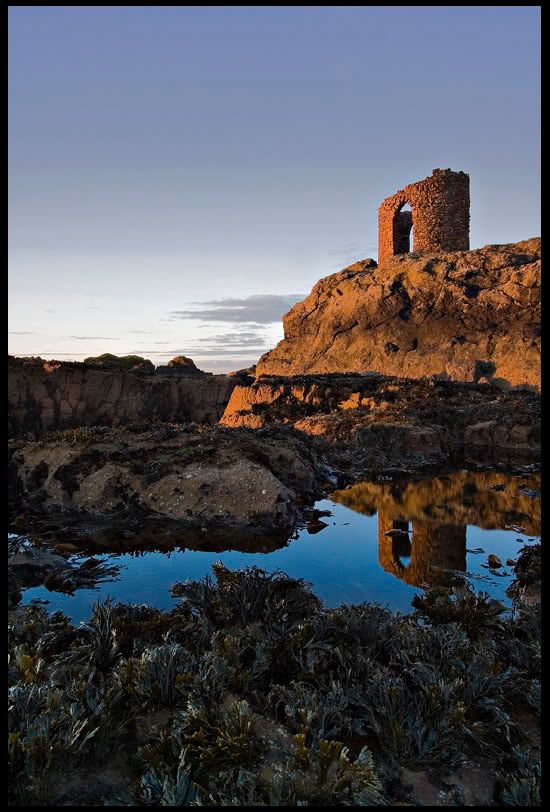 IMAGE: http://img.photobucket.com/albums/v344/weejoe/IMG_4036.jpg