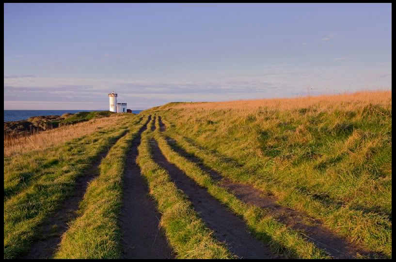 IMAGE: http://img.photobucket.com/albums/v344/weejoe/IMG_4046.jpg