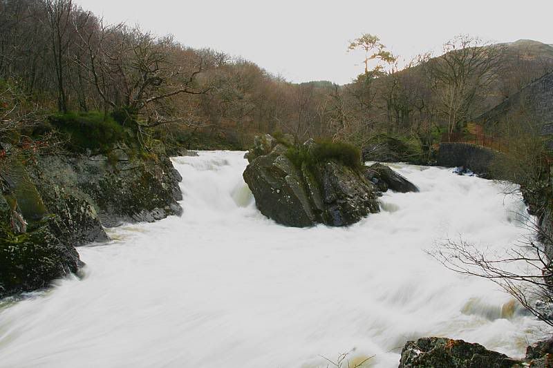 IMAGE: http://img.photobucket.com/albums/v344/weejoe/Leny.jpg