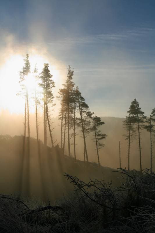 IMAGE: http://img.photobucket.com/albums/v344/weejoe/breakinglight.jpg