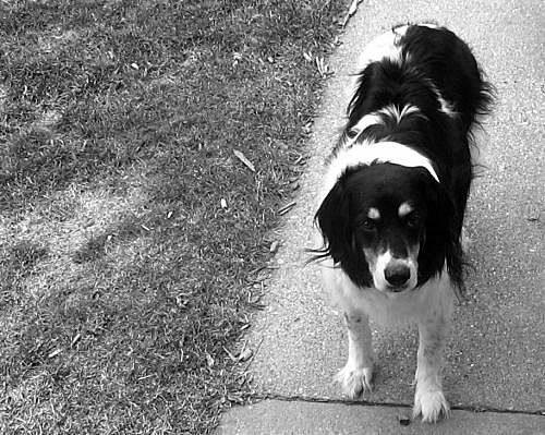 IMAGE: http://img.photobucket.com/albums/v345/Sort1/9e4d4e58.jpg