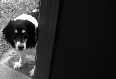 IMAGE: http://img.photobucket.com/albums/v345/Sort1/Oneday013SMALL.jpg