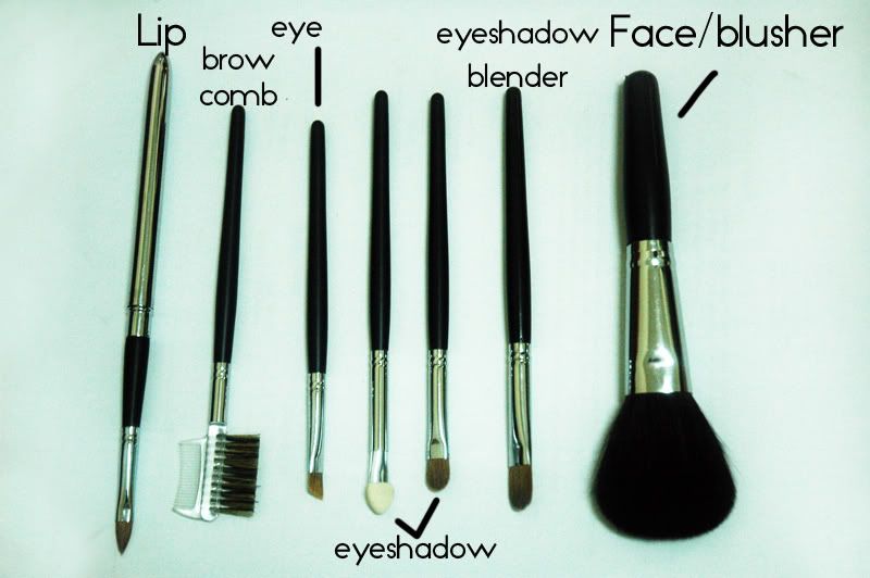 Ok. We have a face brushlusher, 4 eye makeup brushes, brow brush and lip 