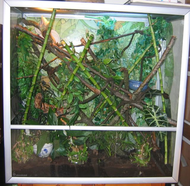 Huge Glass and mesh terrarium/vivarium AKVASTABIL EFFECTLINE Reptile