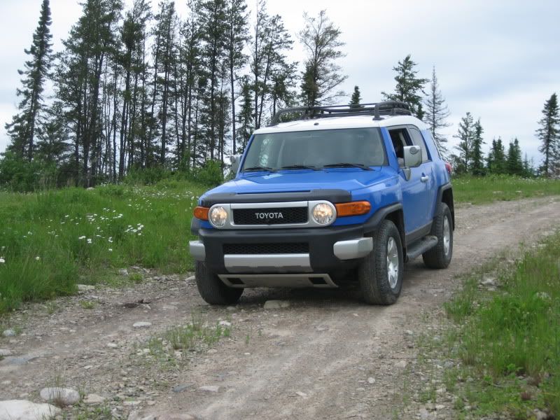 toyota fj bug guard #5