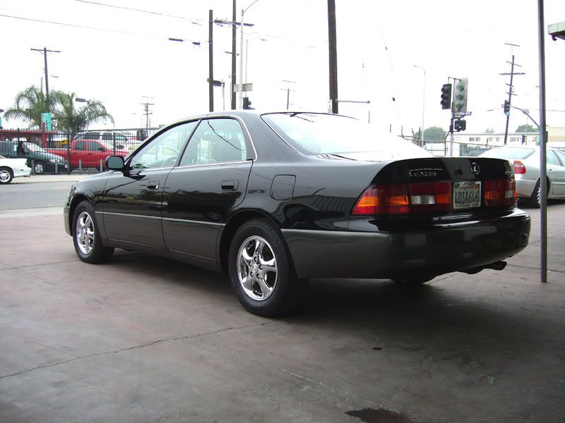 P1000354.jpg