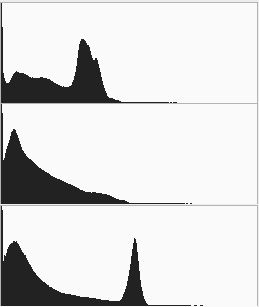 histograms_zps4df81f3f.jpg