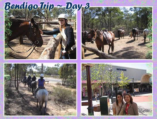 Bendigo - Horse Riding, Shopping and First Myer Store