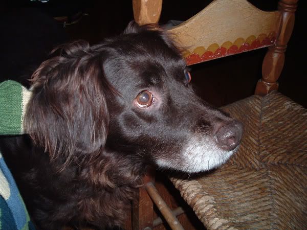 [Image: ChesterHead.jpg]