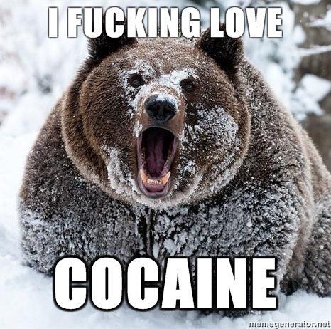 cocaine-bear--i-fucking-love-cocaine.jpg