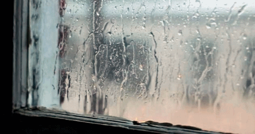 photo anigif_enhanced-buzz-16559-1384361137-46_zpsbd7d3155.gif
