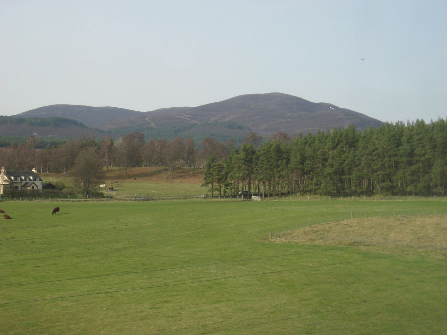 Edinburgh to Inverness 04