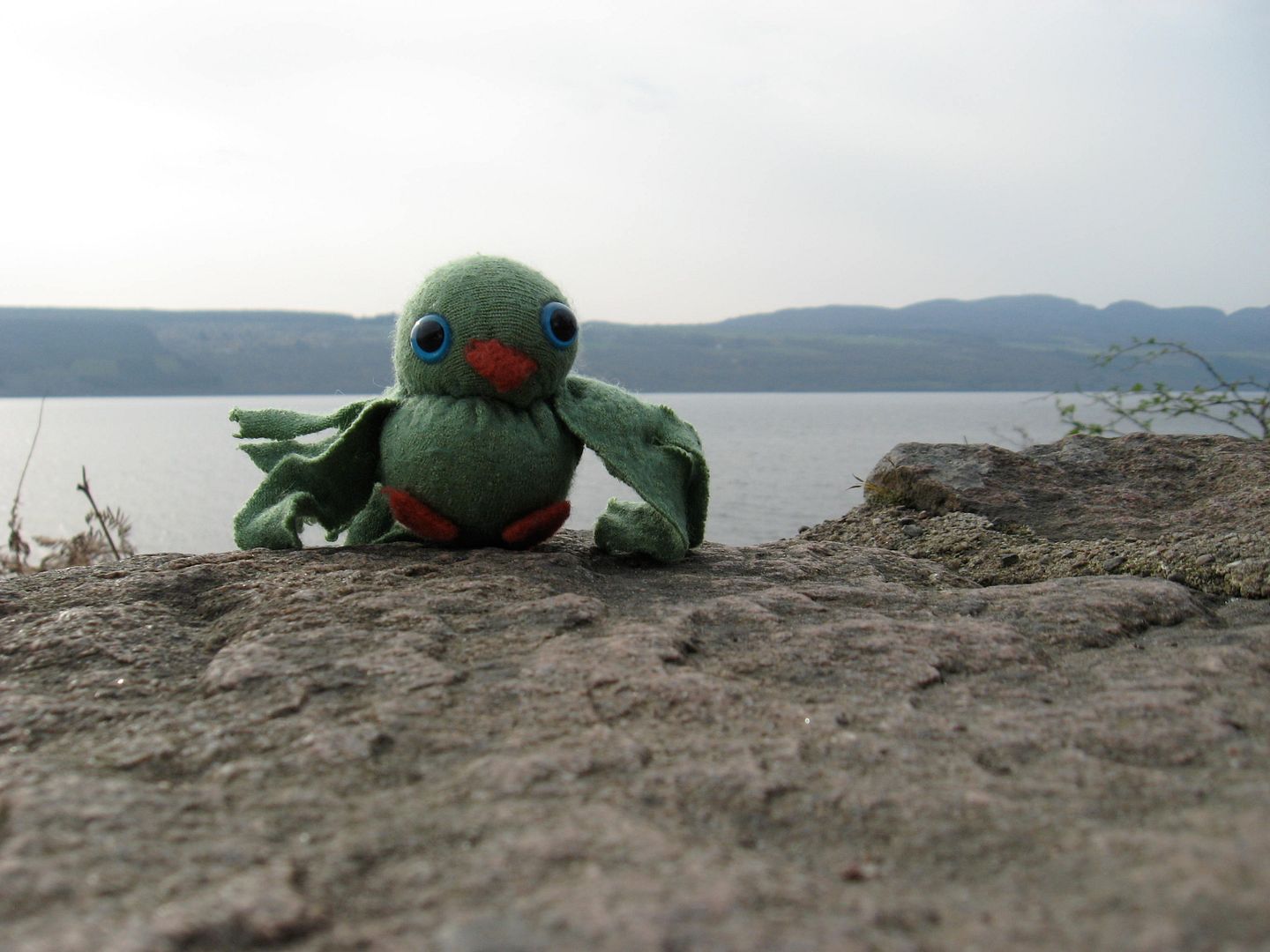 Petrie Treestar at Loch Ness