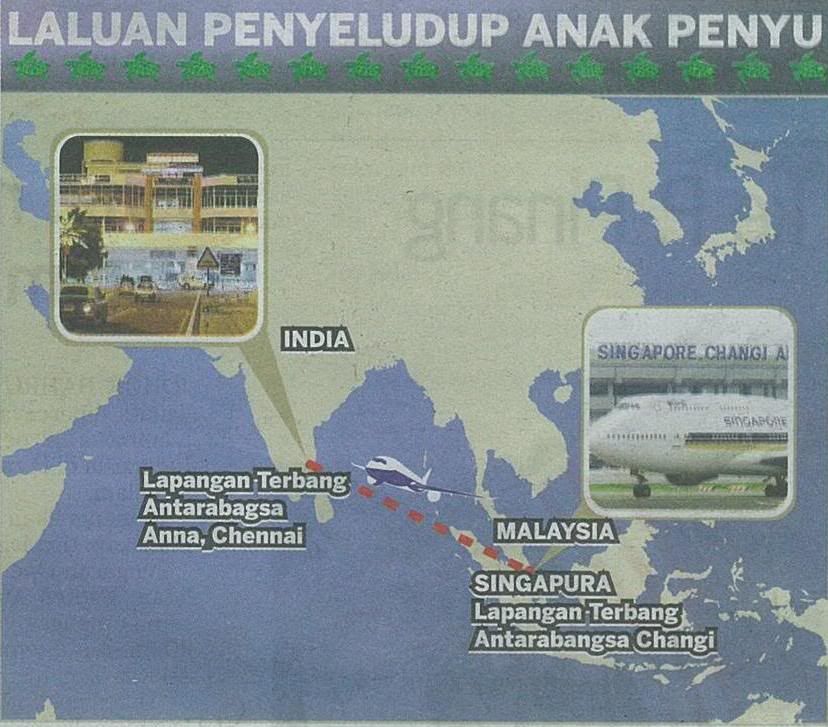 Figure: Showing the path of the sea turtles smuggled from Malaysia to Chennai, India via Singapore.