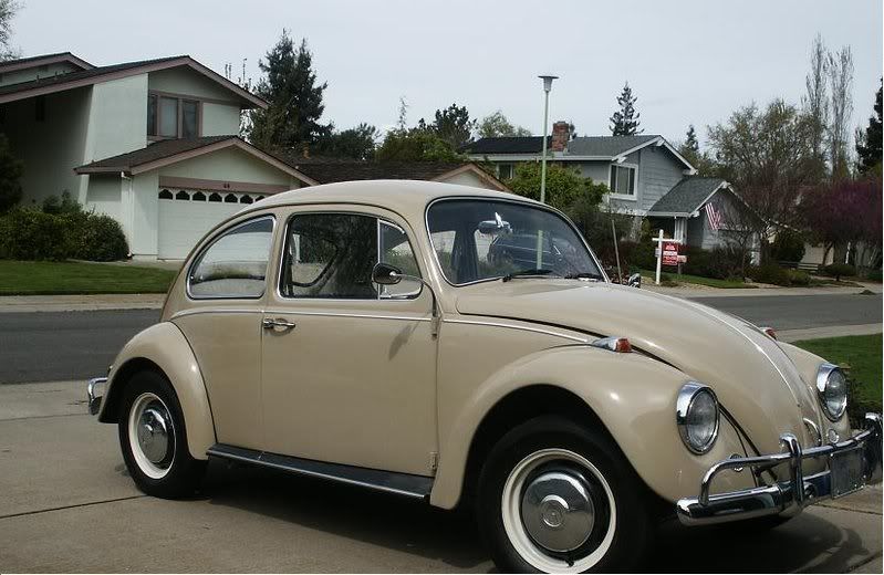 Beetle 67