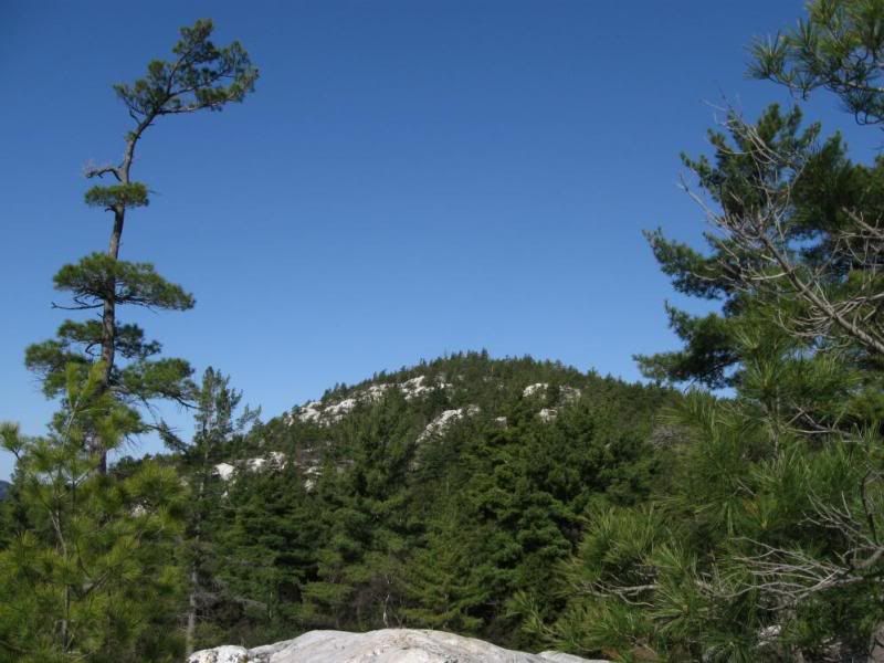 kill_may09_hike44.jpg
