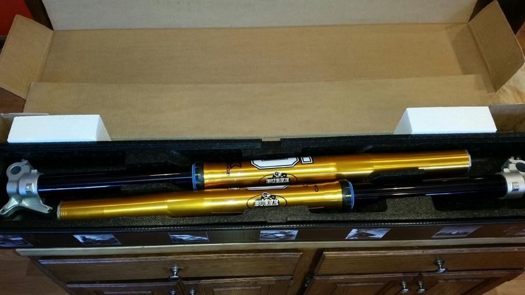 ohlins rfx forks