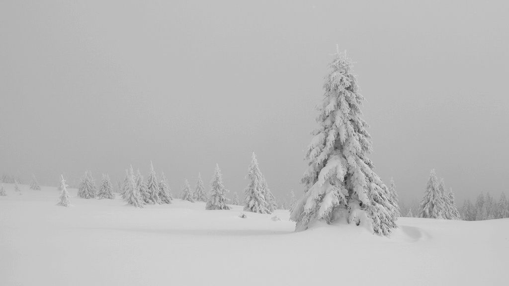 Kopaonik01_resize_zpsc36a2210.jpg