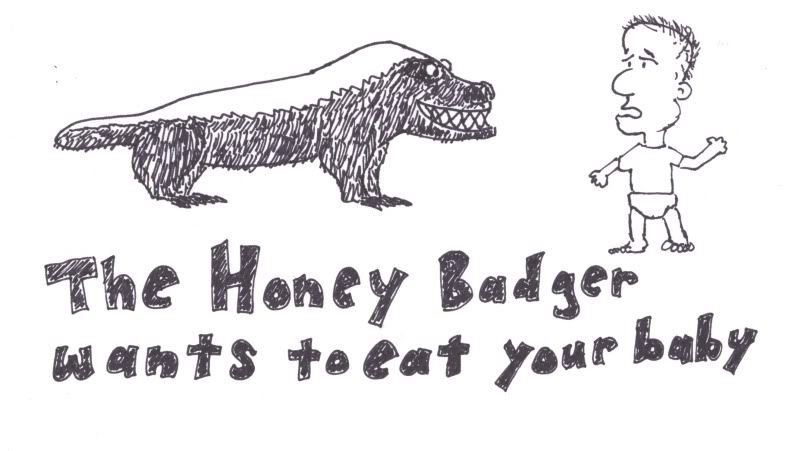 honey badger vs wolverine. Honey Badger: The Wallaby and