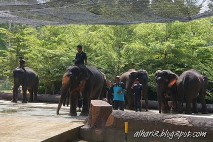 Pusat Konservasi Gajah Kebangsaan Kuala Gandah