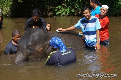 Pusat Konservasi Gajah Kebangsaan Kuala Gandah
