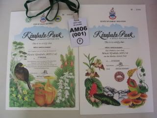 Cert from Mesilau Gate and Low's Peak... and my medal