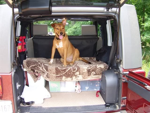 Jeep wrangler back seat dog cover #4